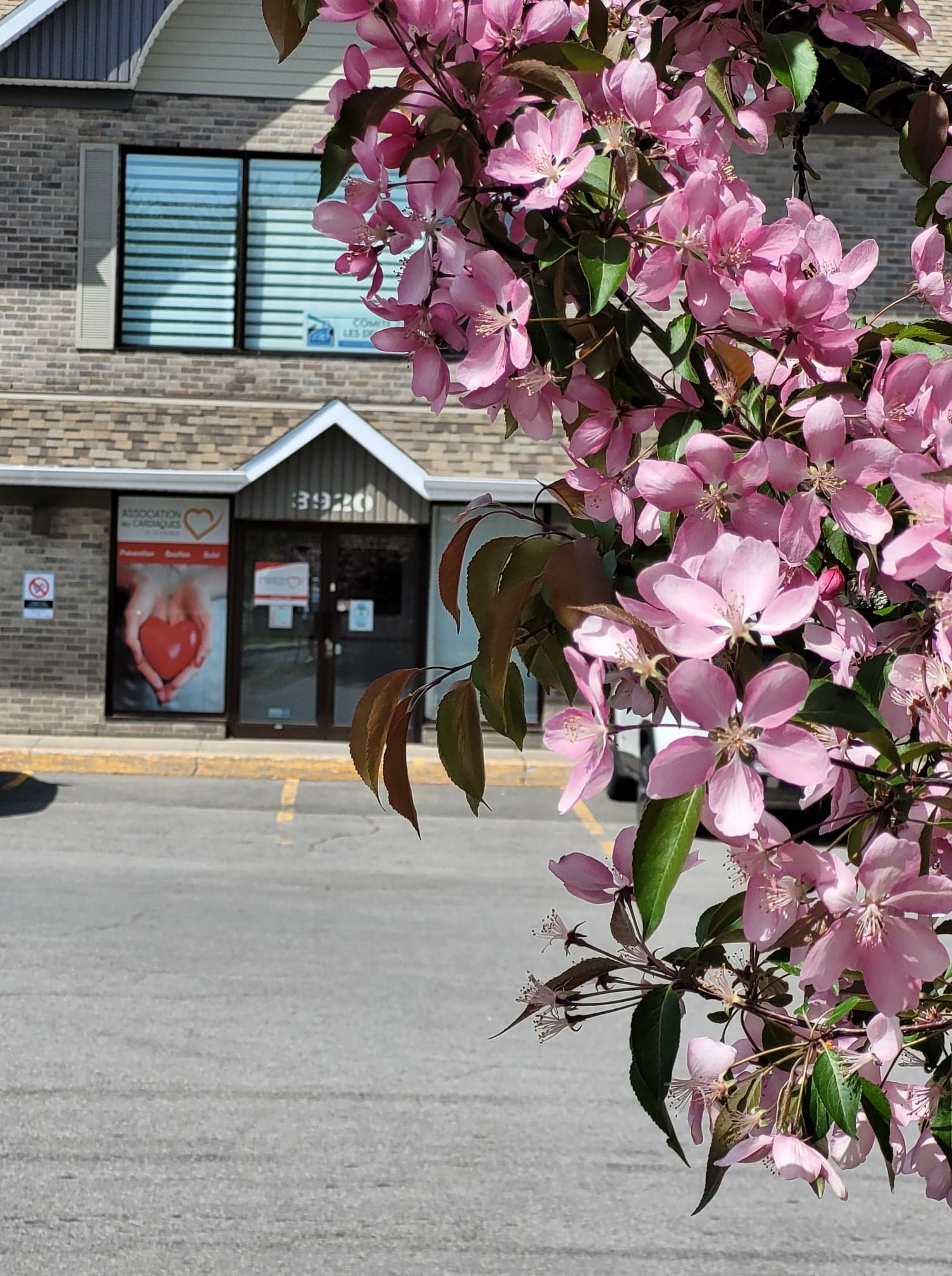 187655439_786969558880902_7314062905258695627_n